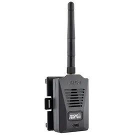 ВЧ модуль RadioMaster RM 4IN1 Micro/Nano (2,4 ГГц) (4в1)