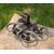 Крепление аксессуаров (+ фонарик) DJI Avata 2 (SunnyLife), Комплектация: Крепление для аксессуаров, изображение 8