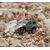 Набор Sniclo 1:64 SNT V65 Mitsubishi Pajero 3013, Комплектация: FPV комплект, Цвет: Серый, изображение 2
